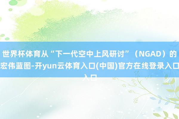 世界杯体育从“下一代空中上风研讨”（NGAD）的宏伟蓝图-开yun云体育入口(中国)官方在线登录入口