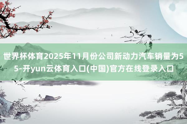世界杯体育2025年11月份公司新动力汽车销量为55-开yun云体育入口(中国)官方在线登录入口